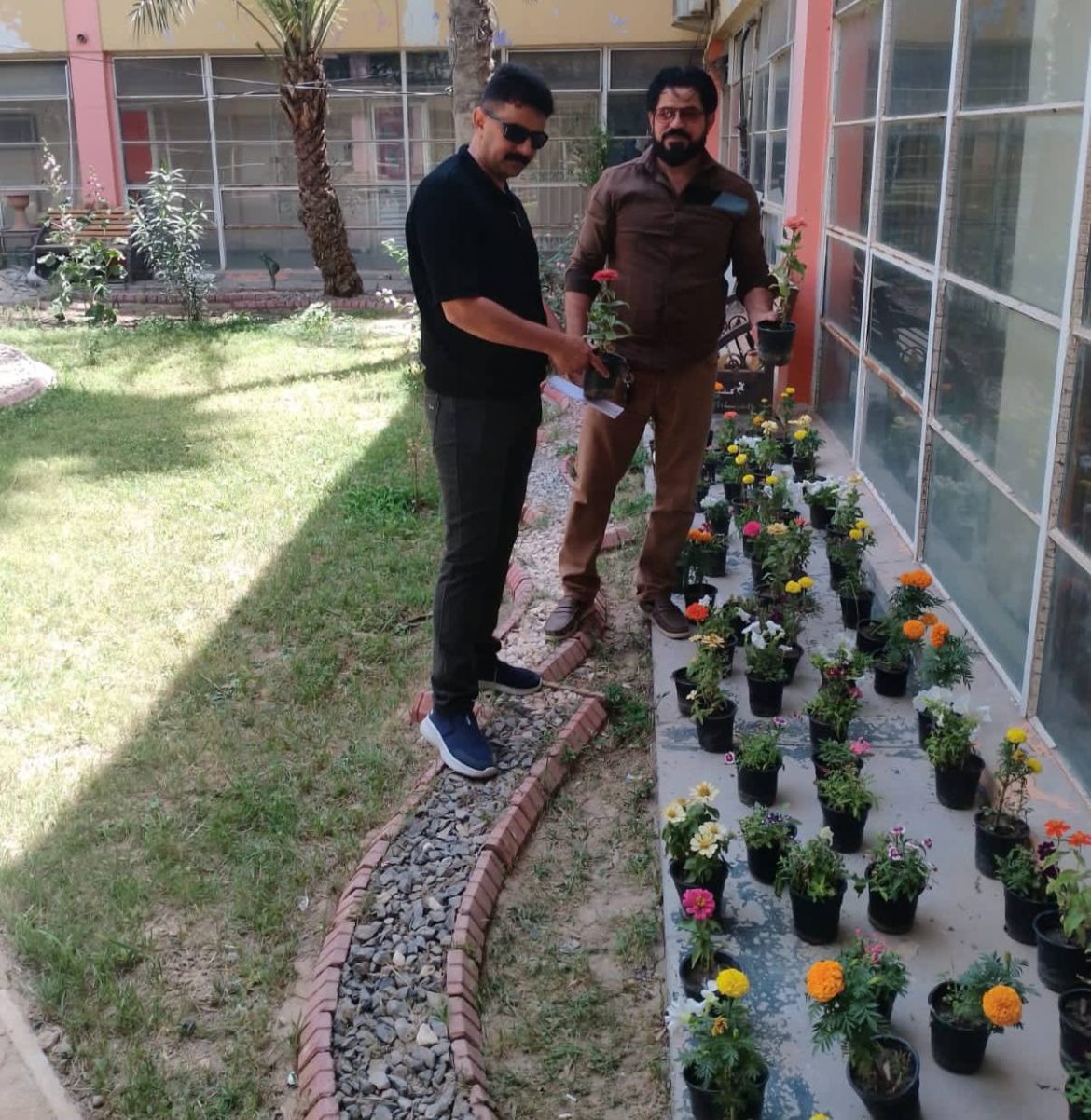 بمناسبة يوم الجامعة الاغر .. زراعة ١٠٠ شتلة في ارجاء كلية التربية الأساسية ..